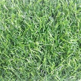 Трава искусственная «August» 20 (Грин Эко) ширина 4,0 метра